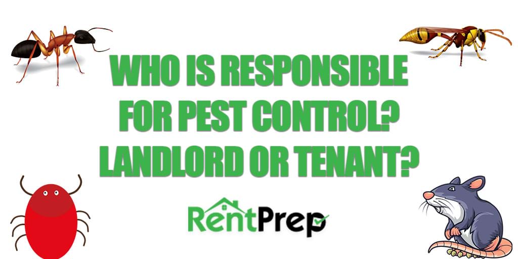 Pest control tenant or landlord responsibility