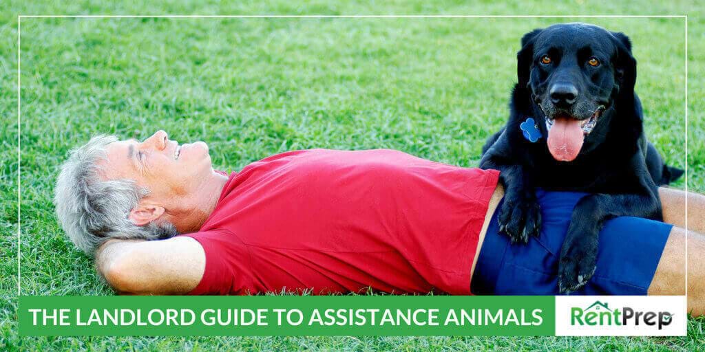 the landlord guide to assistance animals rentprep companion dog doctors note