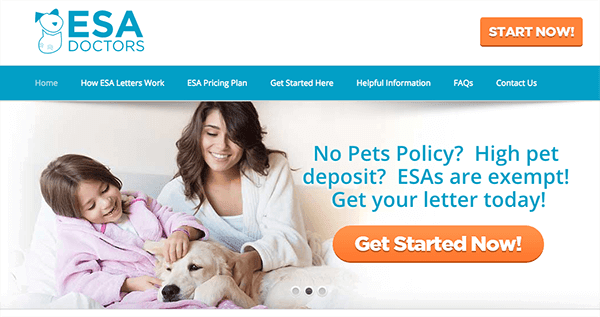 the landlord guide to assistance animals rentprep companion dog doctors note