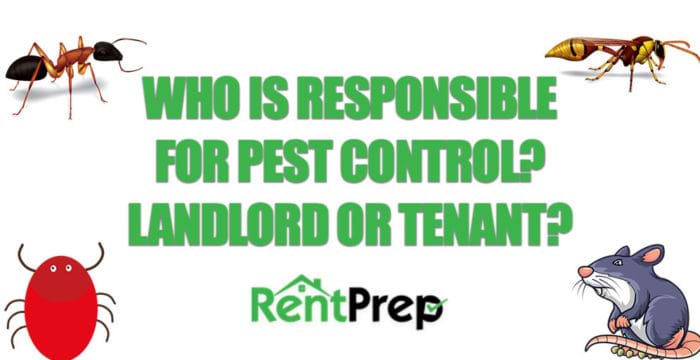 Bed Bugs Apartment Landlord Responsibility Bed Bugs Apartment Landlord Responsibility