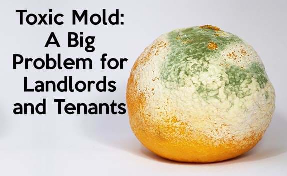 Toxic Mold In Al House Landlord Responsibilities Prep Toxic Mold In Al House Landlord Responsibilities