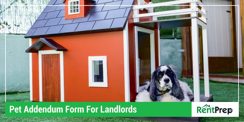 Doggy Addendum Kind For Landlords (Which include Totally free Pattern!) photo regarding Free Printable Pet Addendum identified as Pet dog Addendum Sort For Landlords (Which includes Free of charge Pattern!)